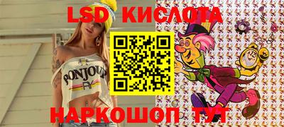 прущие крисы Кудрово